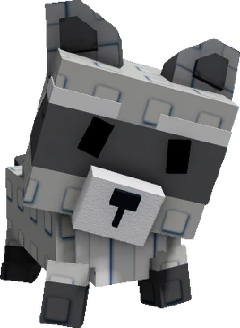 Raccon-Better-Quality